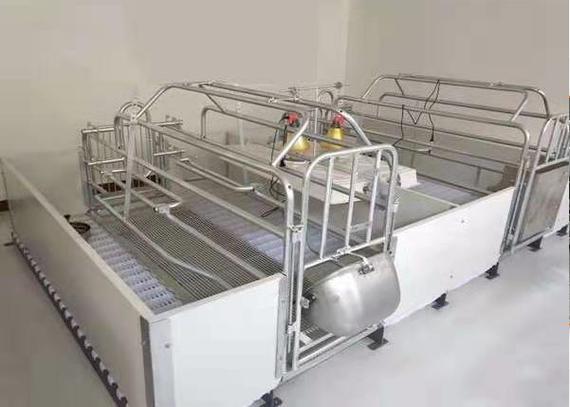 自动喂料线自动刮粪机母猪产床养猪设备固液分离机泊头市良诸畜牧机械